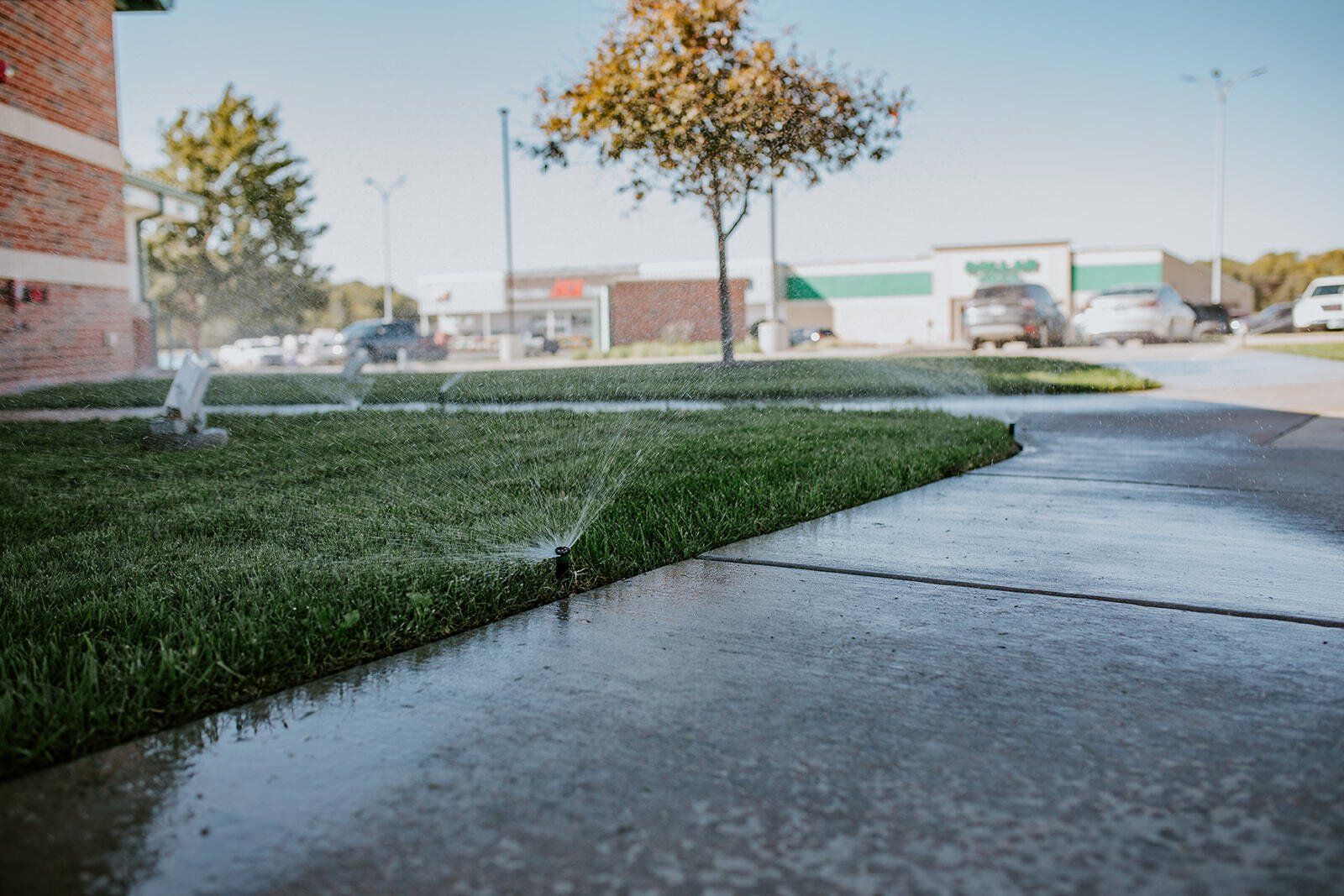Sprinkler System
