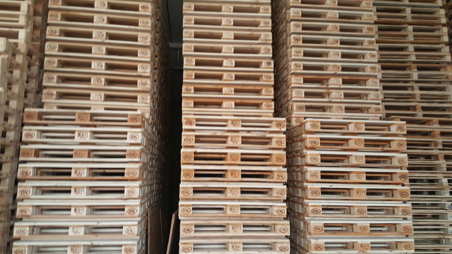 imballaggi in legno all'interno dell'azienda
