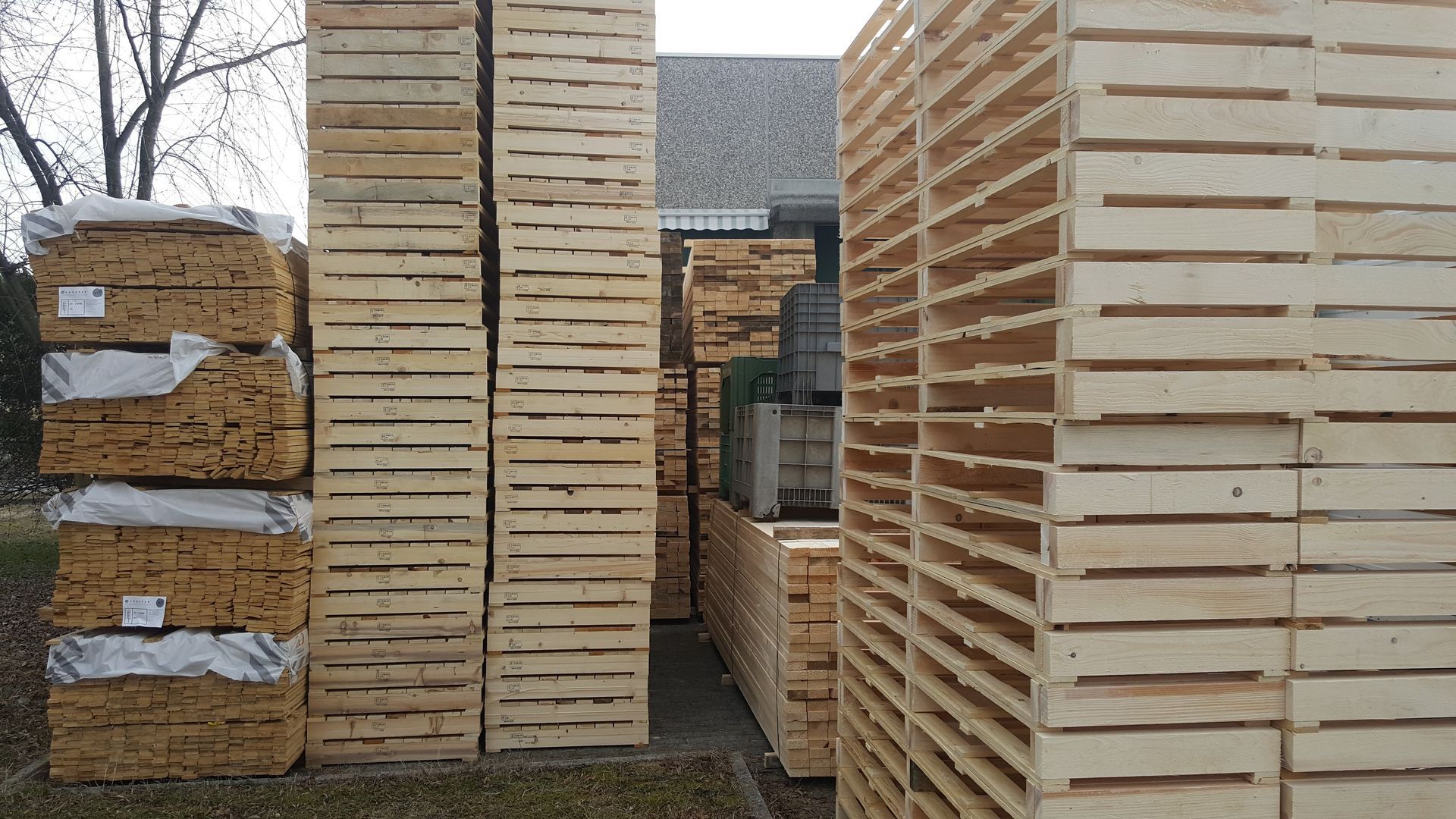 imballaggi in legno all'interno dell'azienda