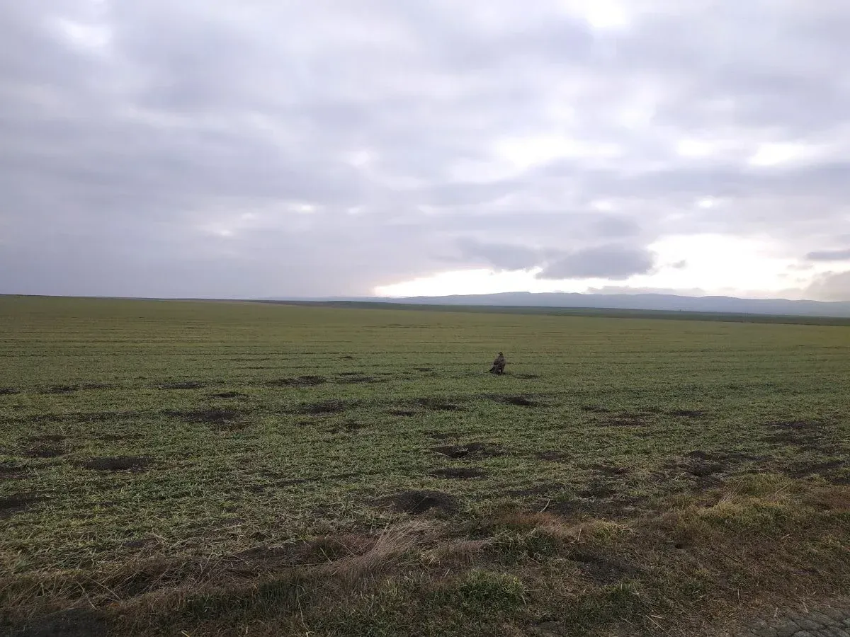 Birdwatching in Vashlovani National Park