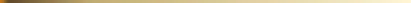 Black horizontal banner with thin yellow lines near the top and bottom.