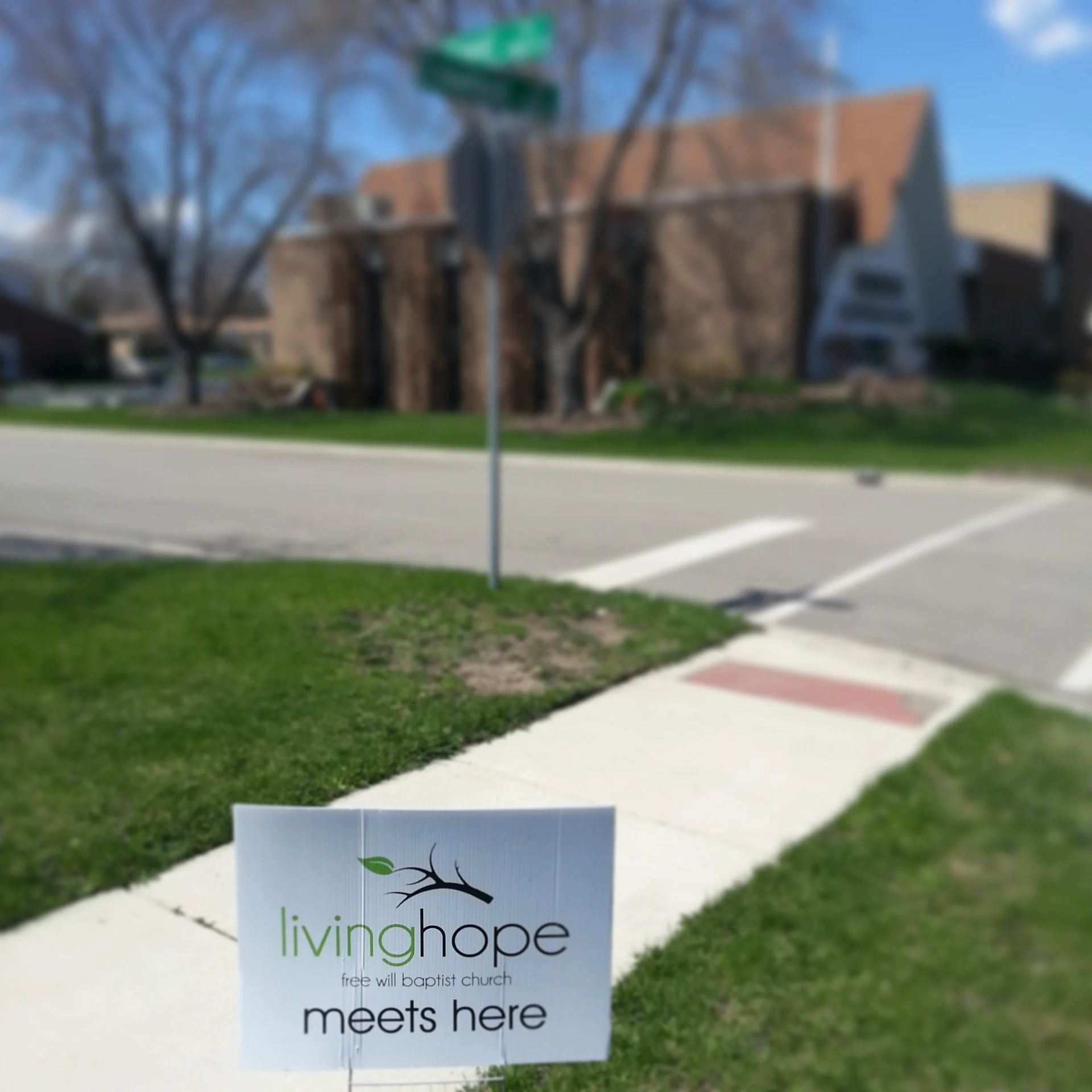 Lawn sign reading “living hope meets here” beside a sidewalk at a street corner