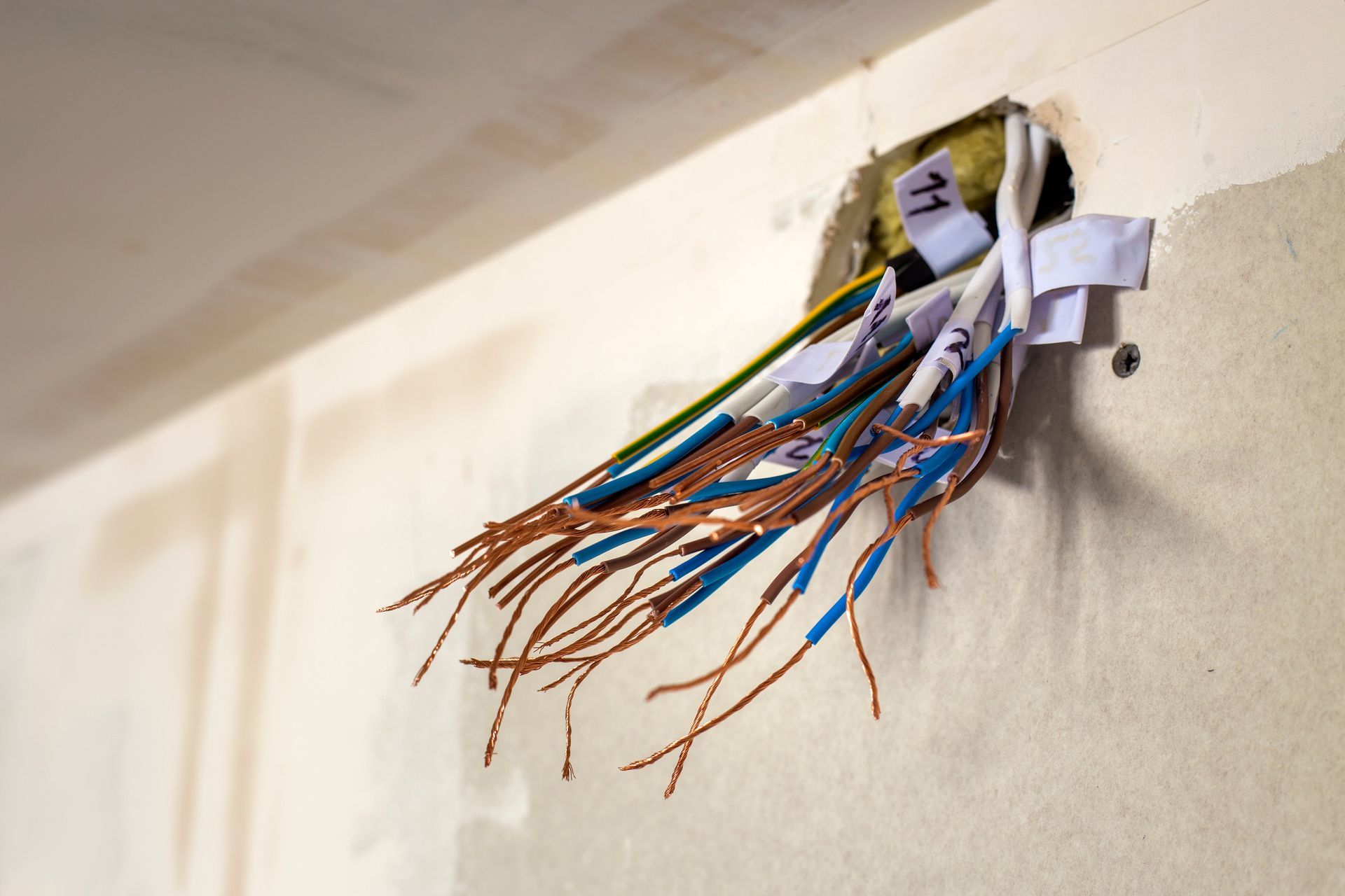 Exposed bundle of multicolored electrical wires protruding from a wall outlet box