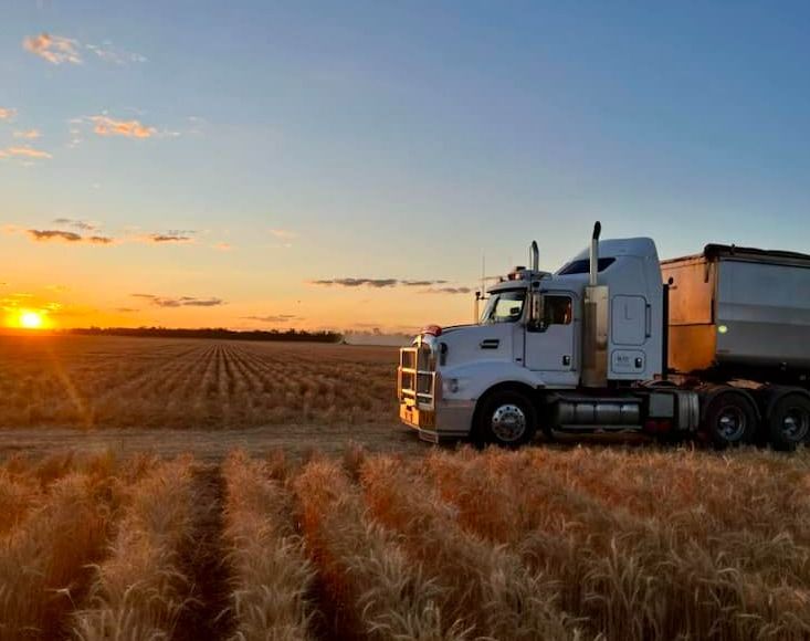 A Semi Truck Is Parked In A Field Of Wheat At Sunset — BJC Transport In Wondai, QLD