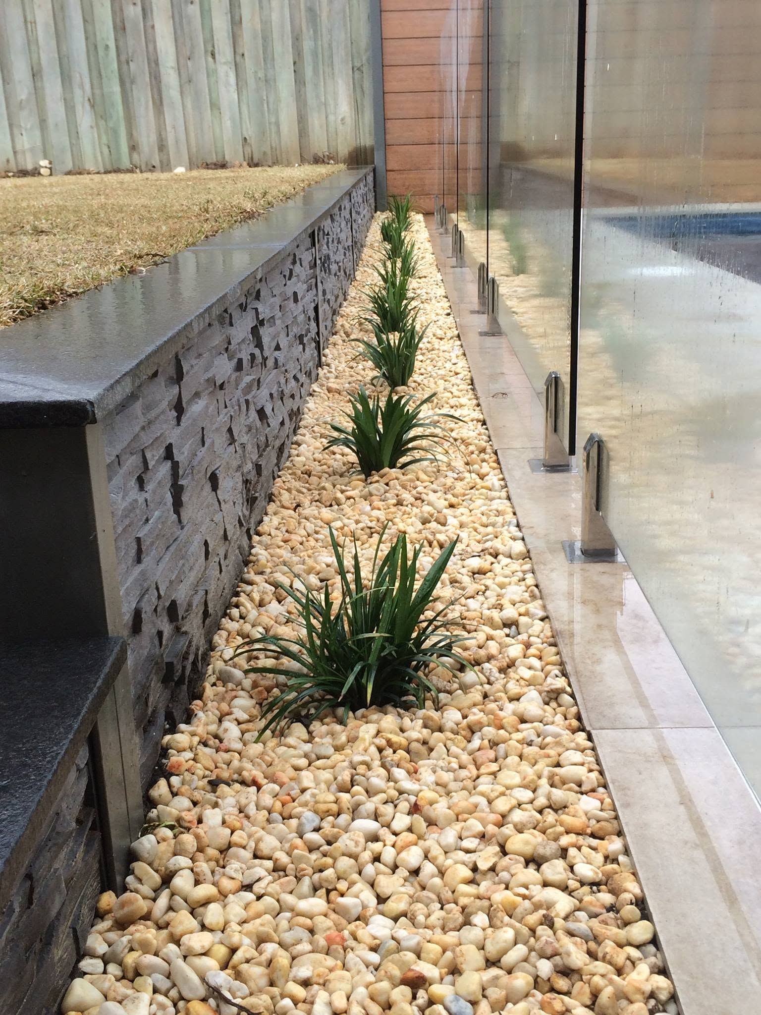 Narrow gravel planter with small green plants between a raised wall and a glass building facade