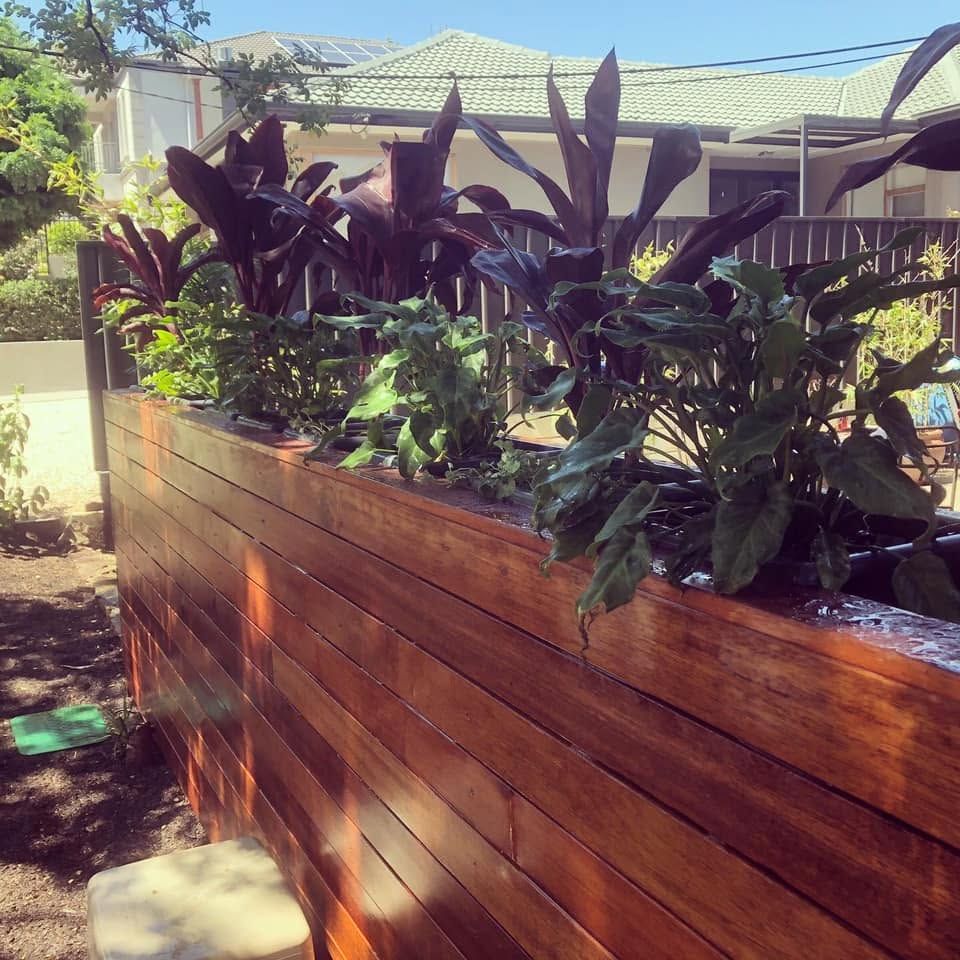 Raised wooden planter with lush dark tropical plants in a sunny garden patio