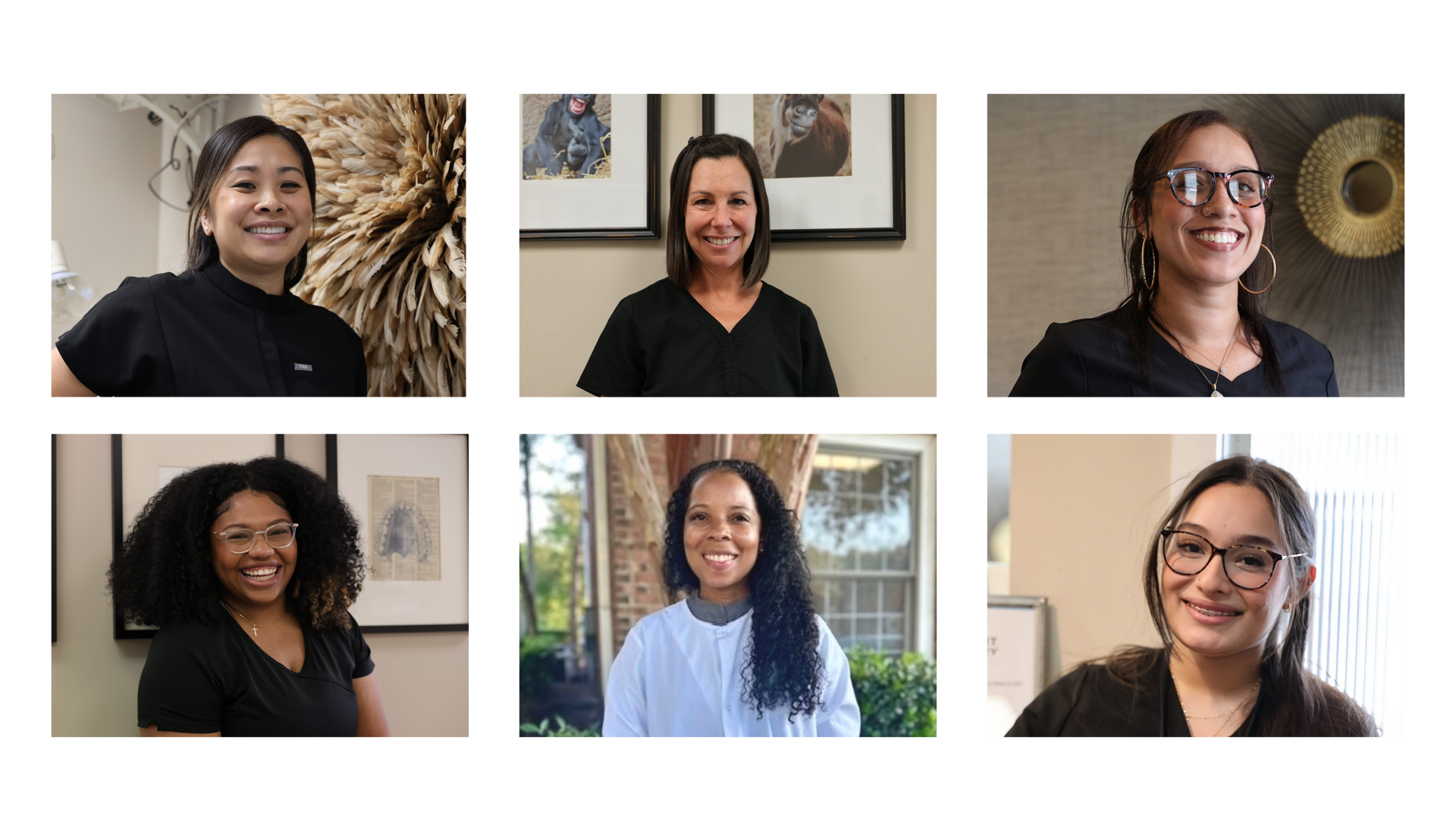 6 photos in grid format of Piedmont dental team and staff. 