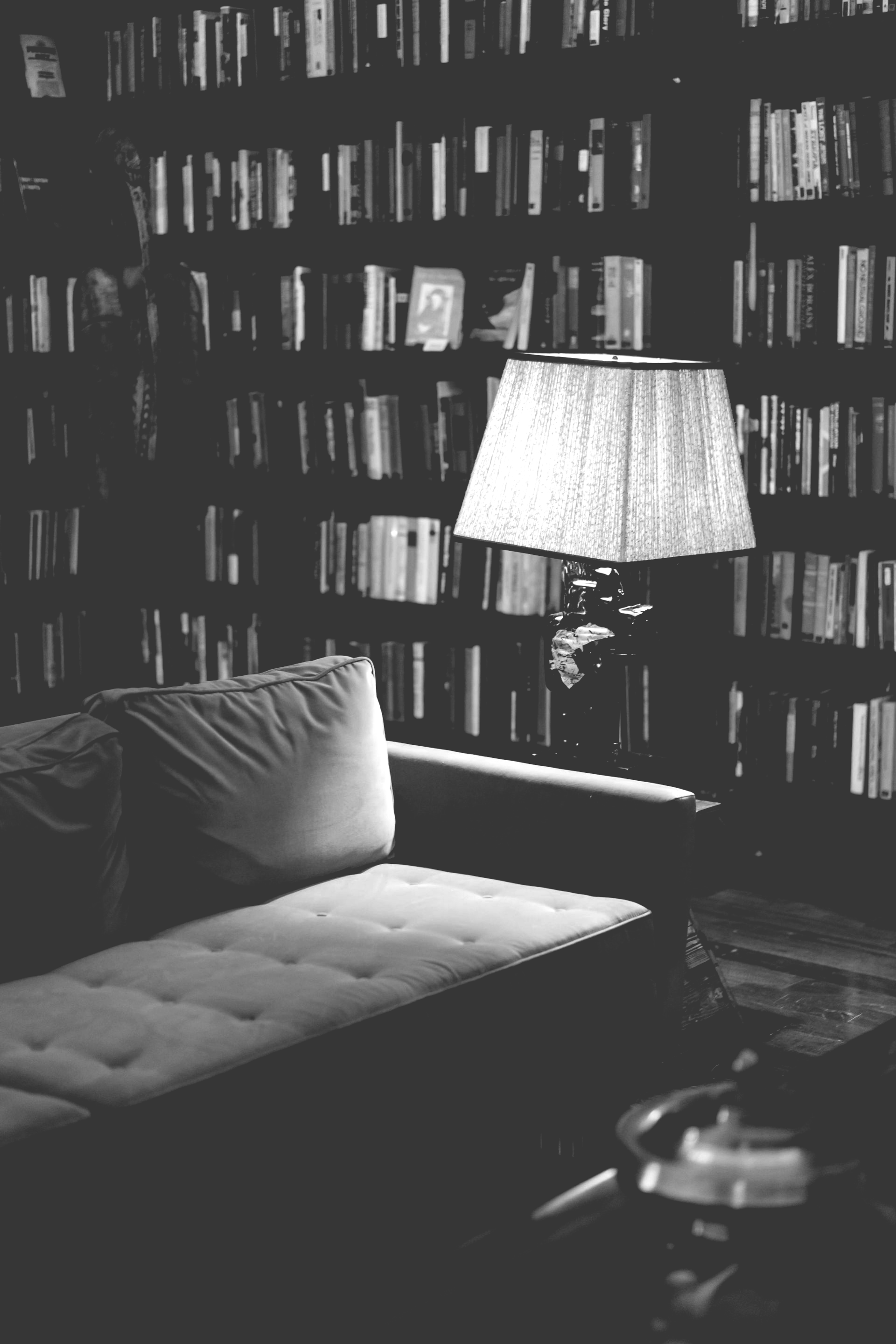 Black-and-white living room with a couch, floor lamp, and bookshelves filling the background.