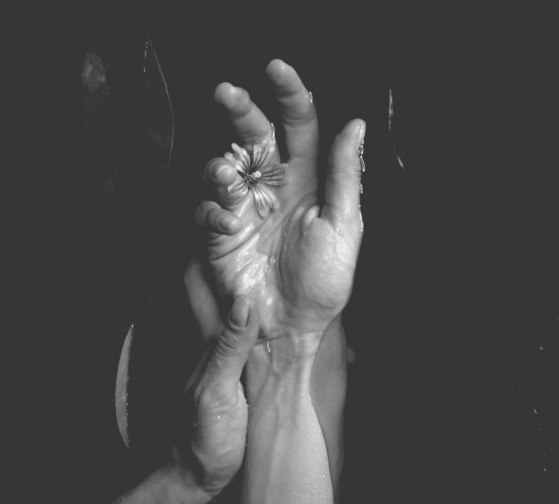 Black-and-white close-up of a raised hand holding a flower against a dark background
