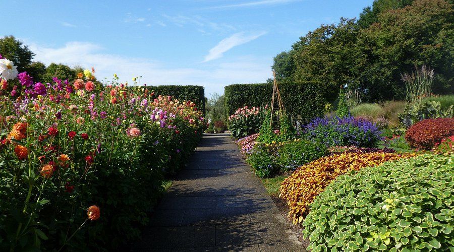 A path in a garden filled with lots of flowers