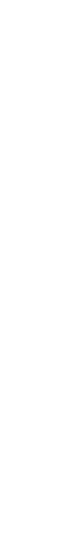 A narrow vertical black bar on a white background.
