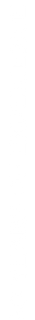 A narrow vertical black bar on a white background.