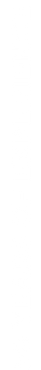 Thin vertical black line on a white background