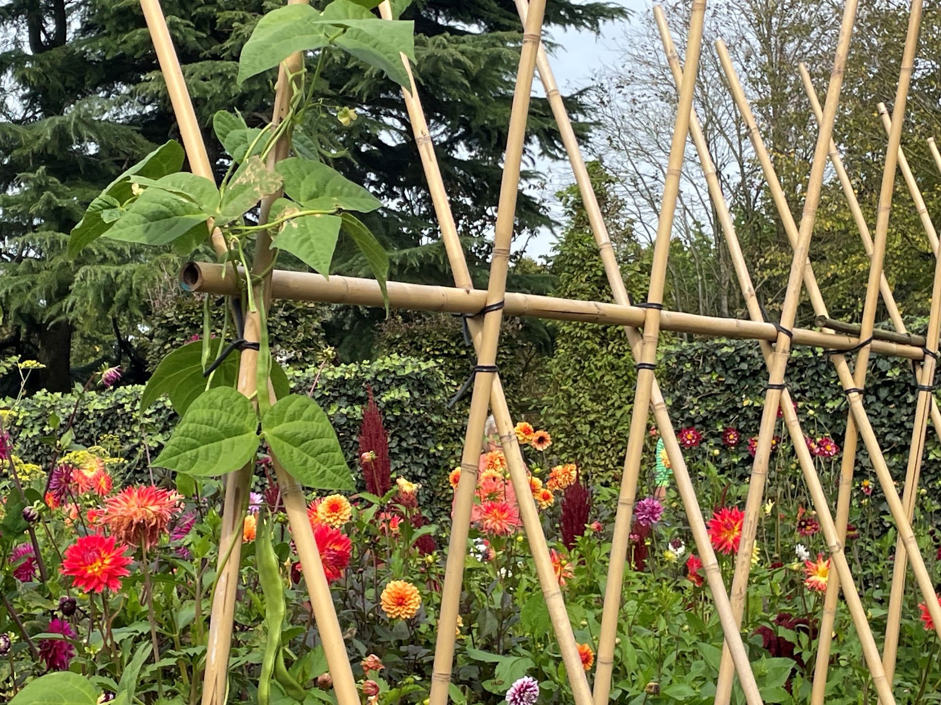 Moestuin ontwerp