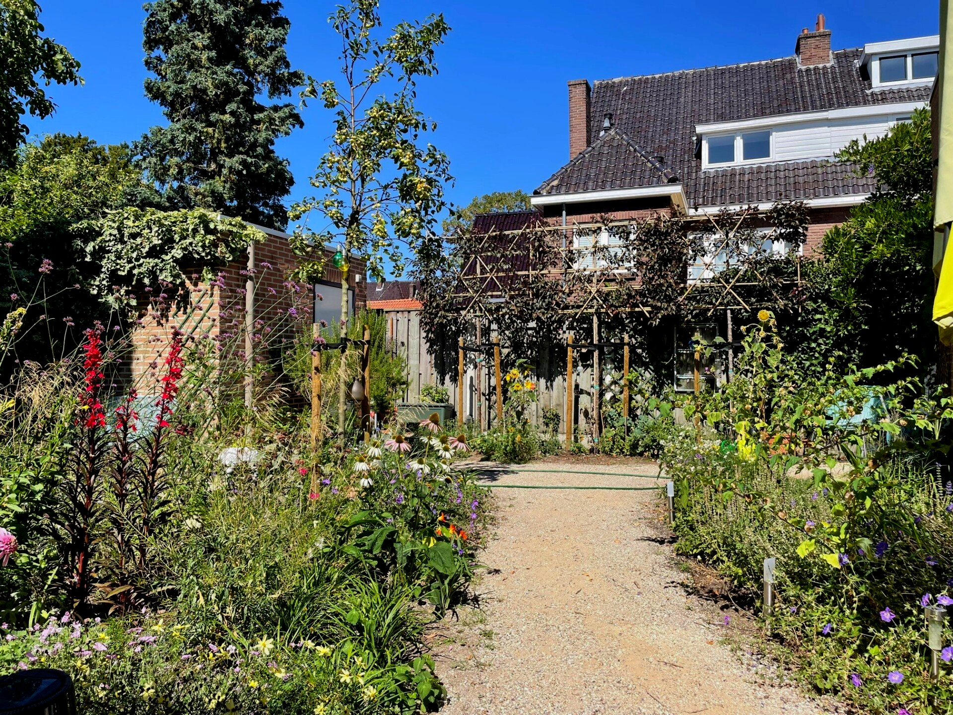 Tuin met pad van halfverharding in Nijmegen Linaria Tuinen