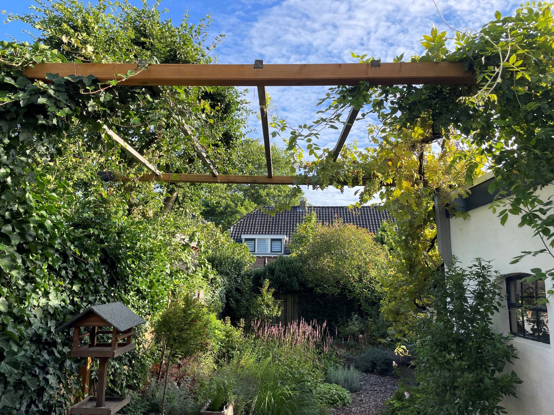 Achtertuin met houten pergola en klimplanten in natuurlijke stijl.