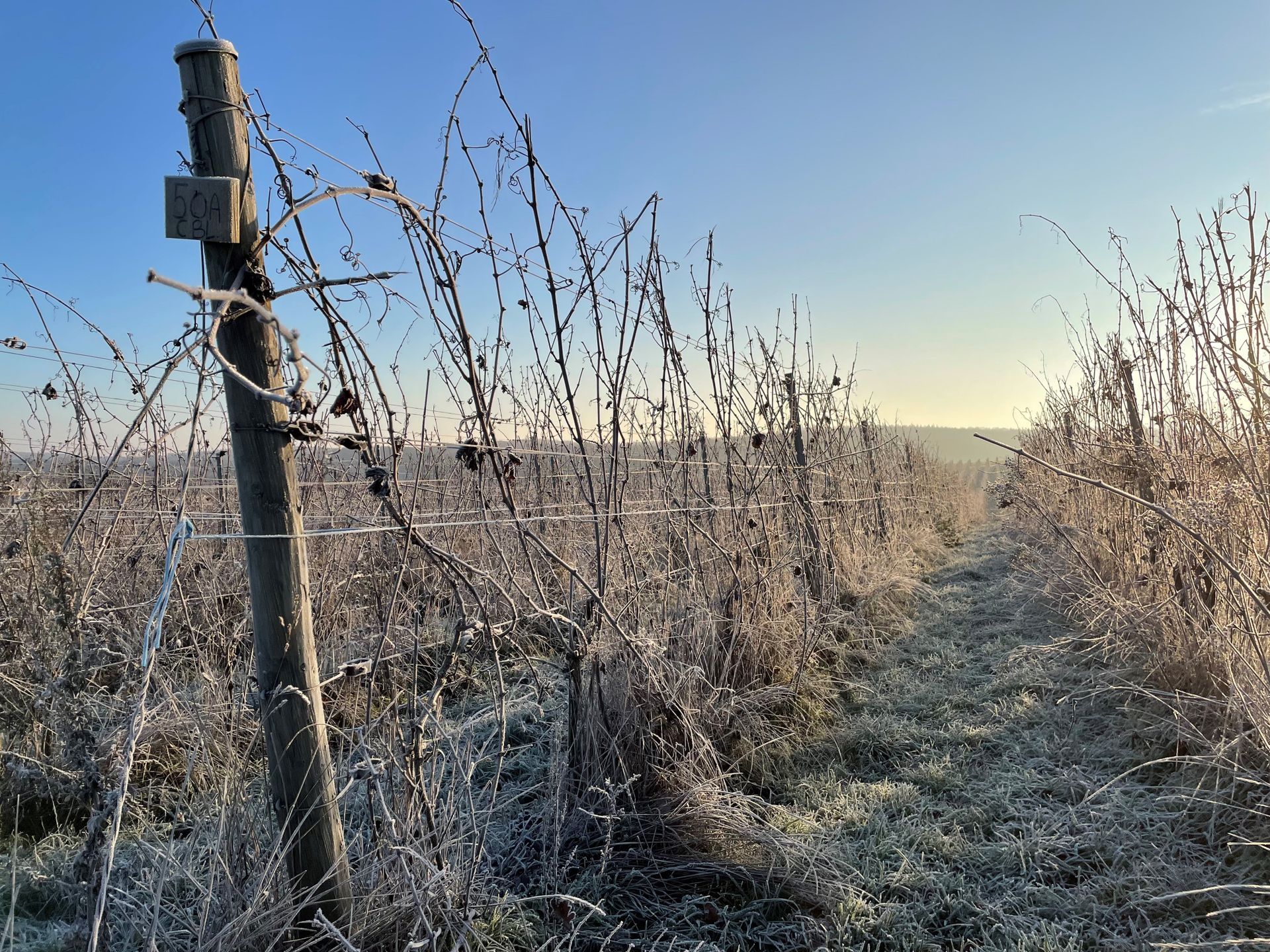 Winters natuurlijk beeld inspiratie