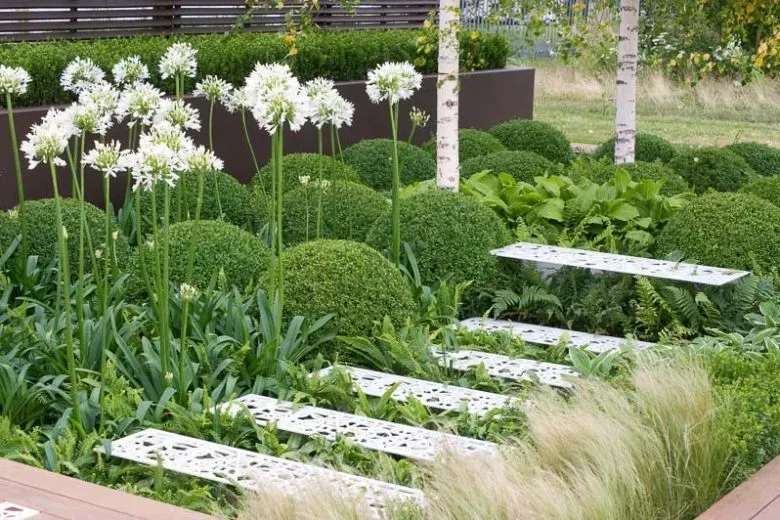 Tuinontwerp met stapstenen en gestructureerde beplanting.
