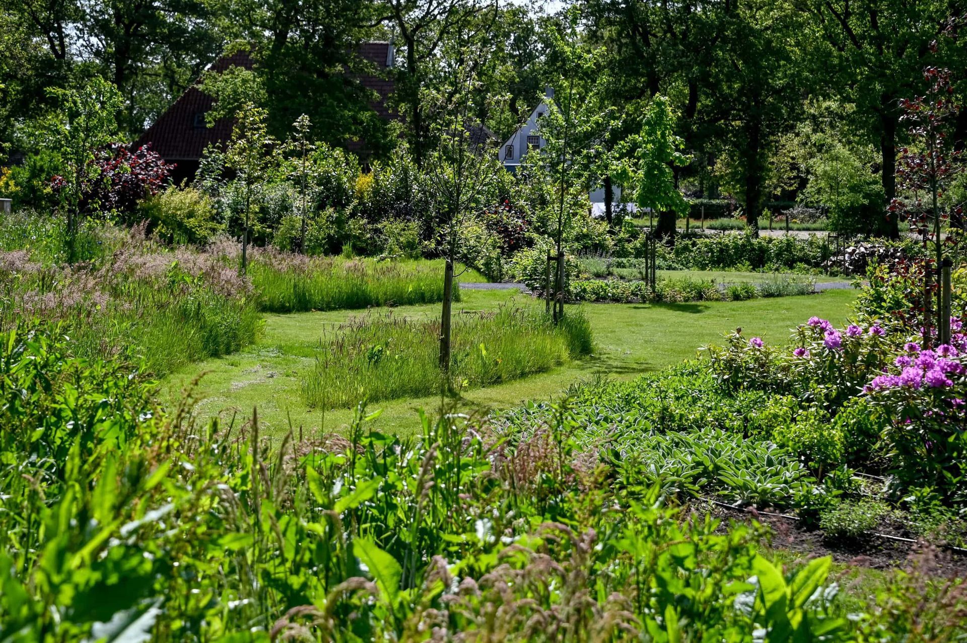 Een prachtig natuurlijk tuinontwerp