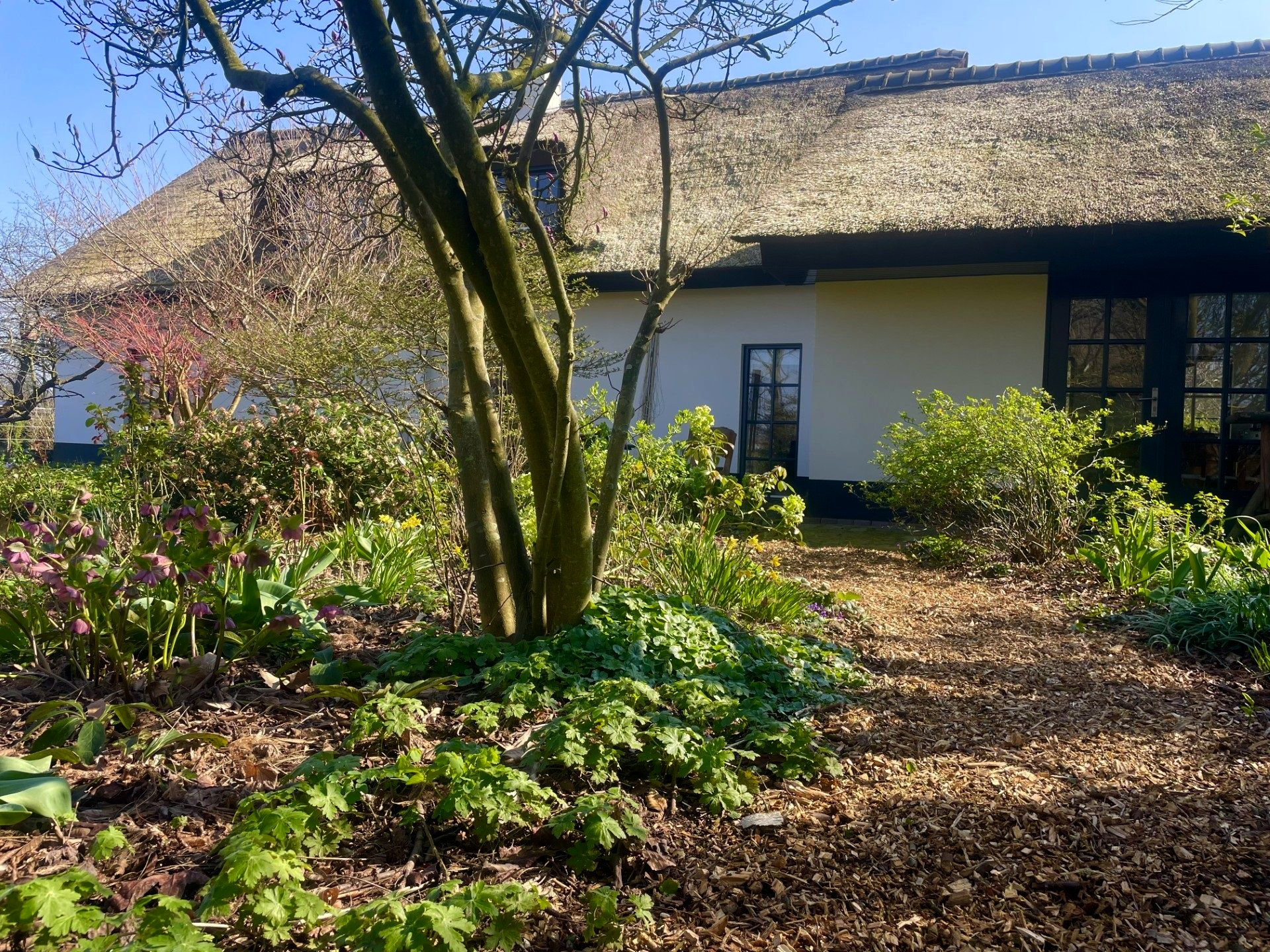 Houtsnippers als natuurlijk pad