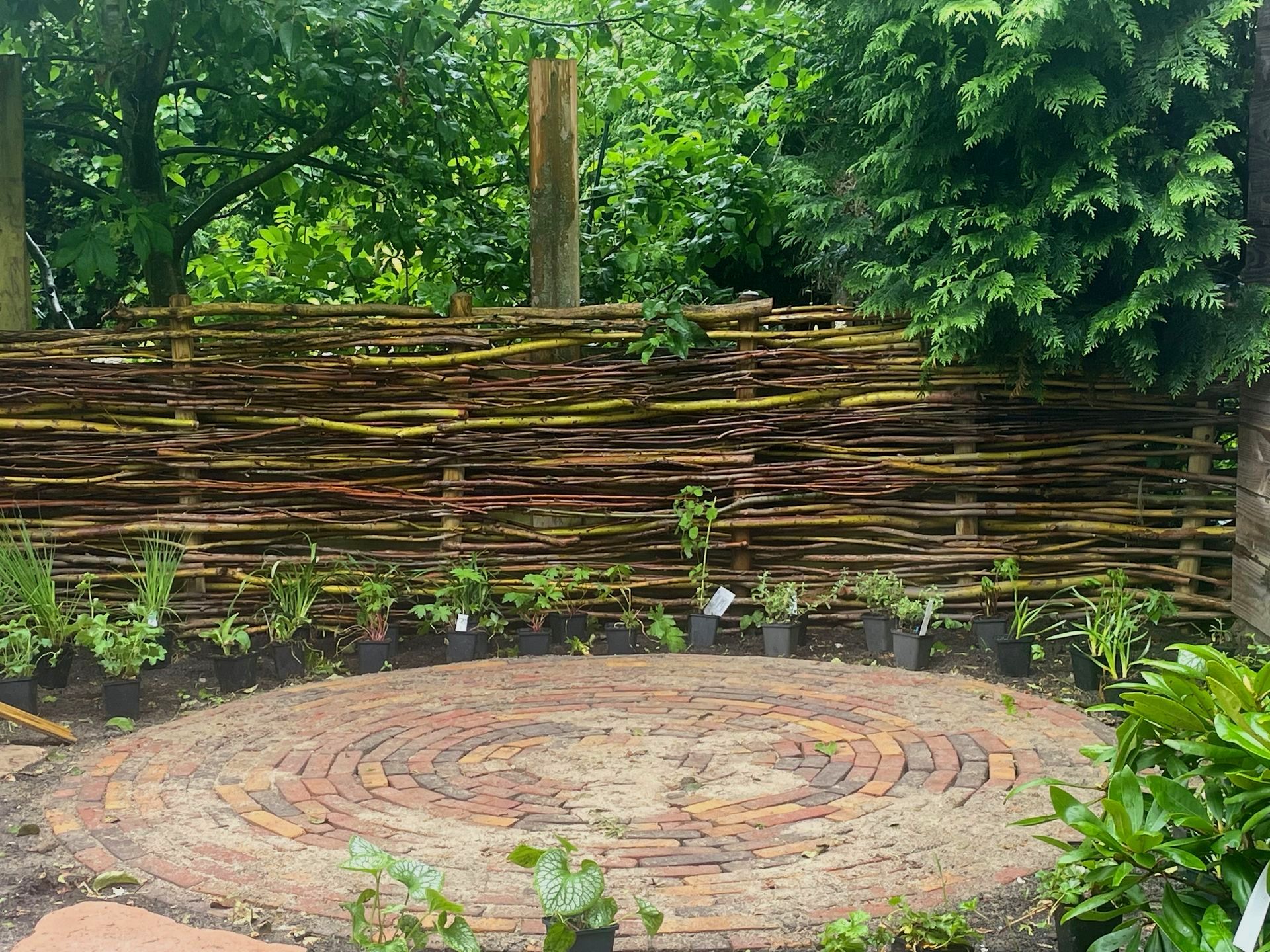 Natuurlijke erfafscheiding van gevlochten takken in een groene tuinomgeving. 