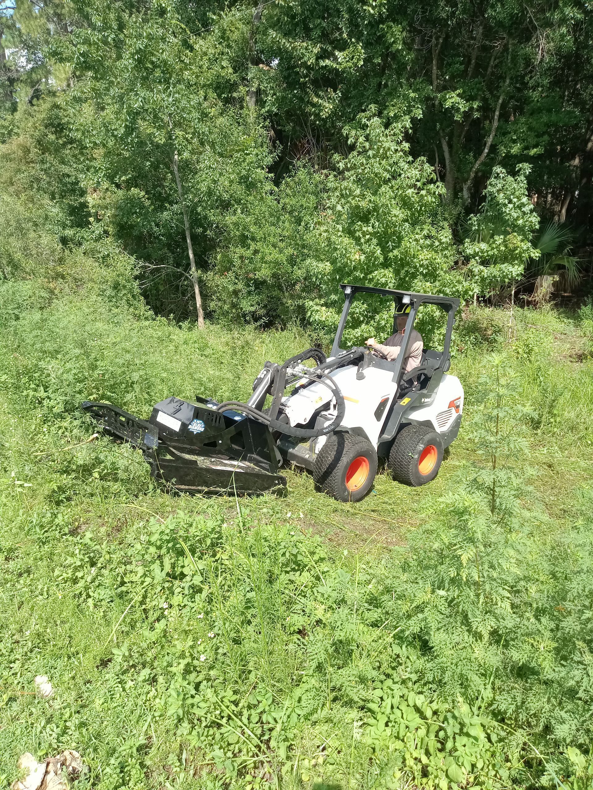 White-and-orange compact tractor in dense green vegetation beside trees and brush.