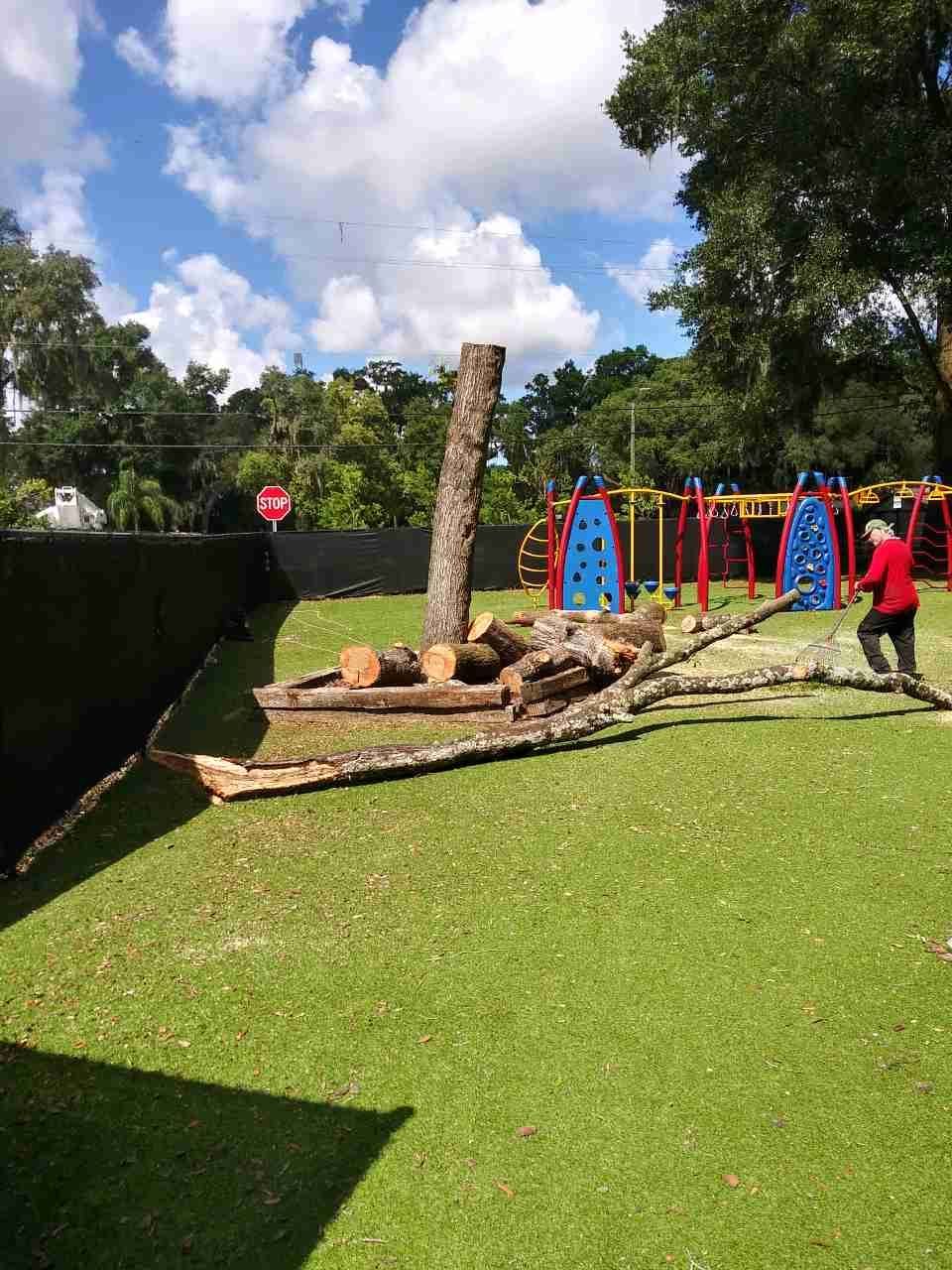 Playground with a fallen tree trunk and logs on the grass, beside colorful play structures under a sunny sky