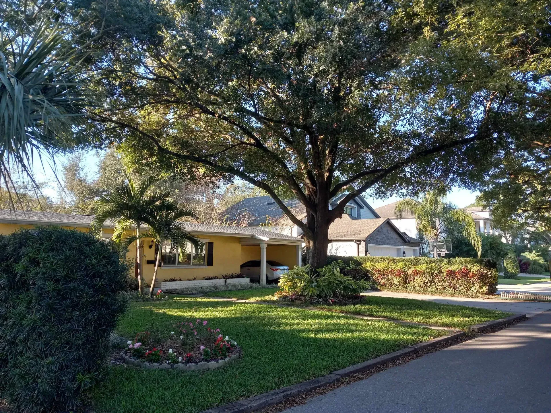 Tree-shaded house with a green lawn, flower beds, and a driveway under a bright sky
