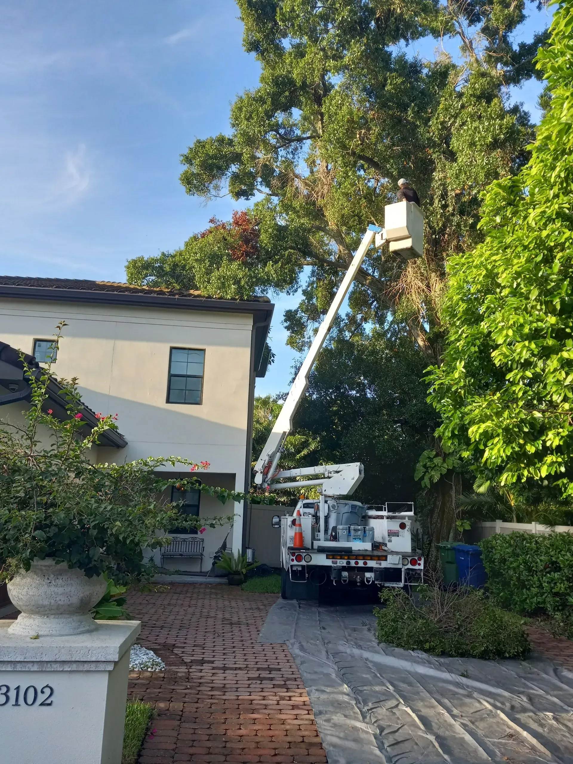 Bucket truck raised beside a house, reaching tree branches in a residential driveway.