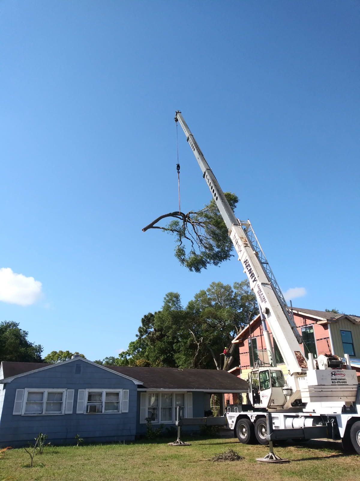 Crane lifting a fallen tree branch beside a blue house under a clear sky