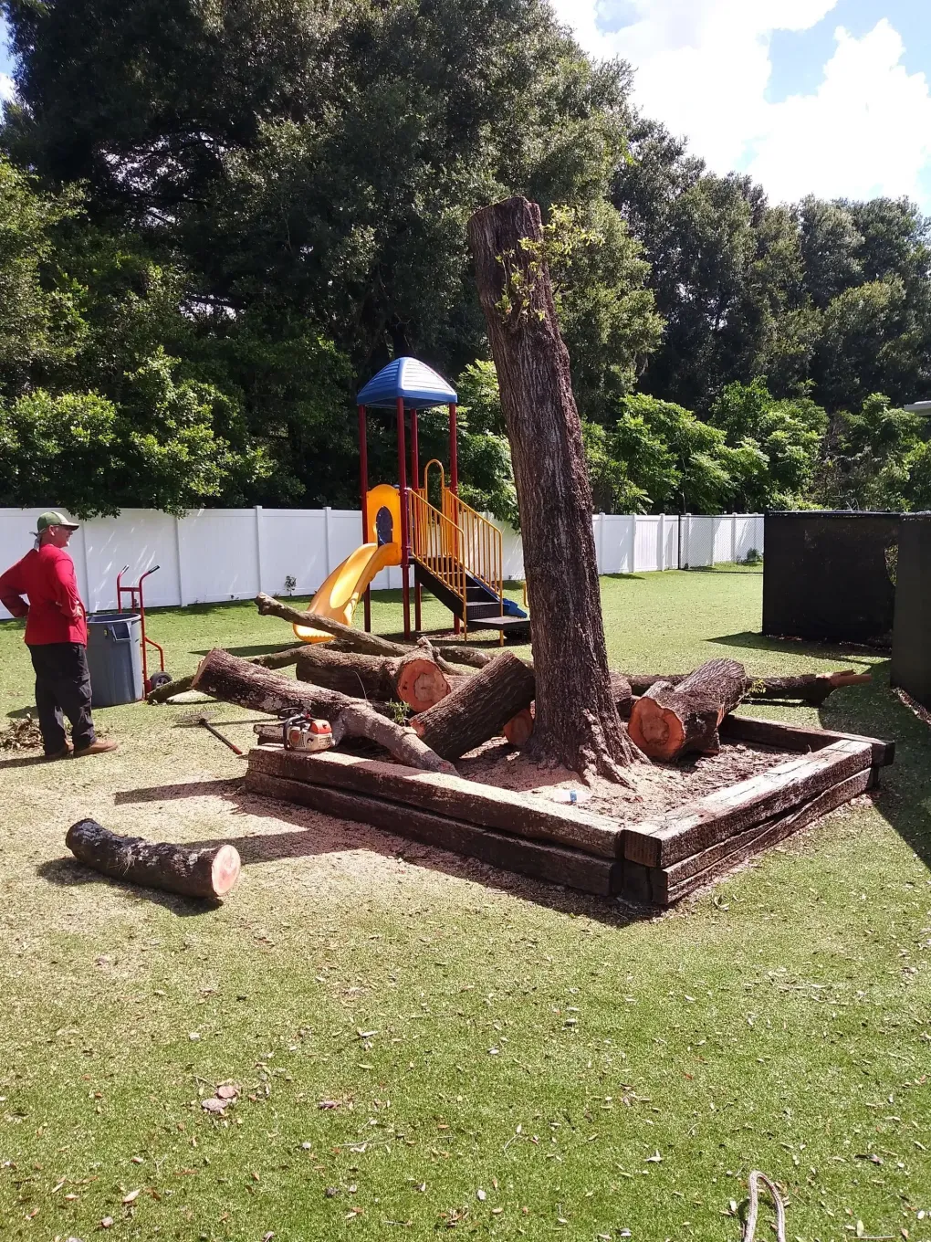 Backyard with a trimmed tree stump and logs beside a small playground slide and white fence