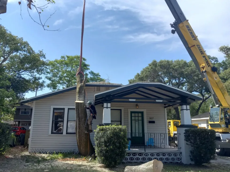 Small house with porch under construction, with a tree being cut and a crane overhead.