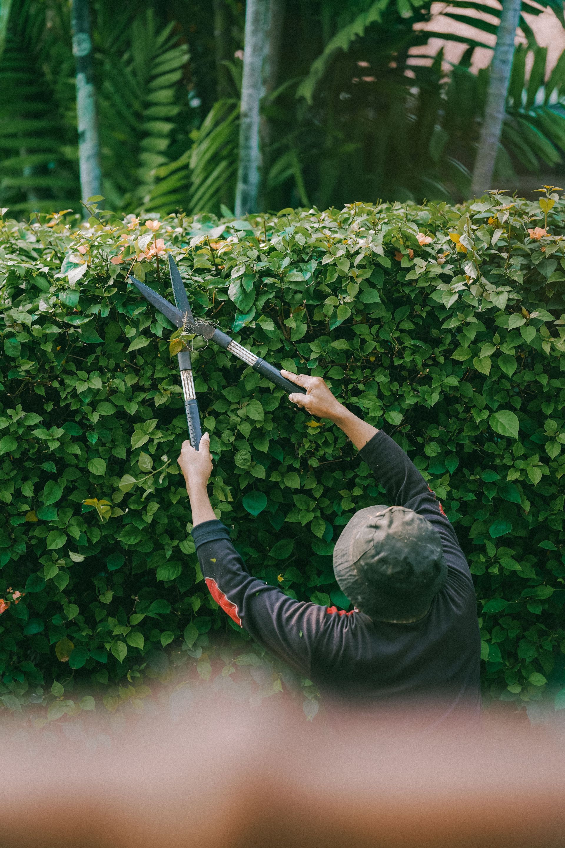 Person in a neon green jacket climbing a tree trunk with sawdust flying around