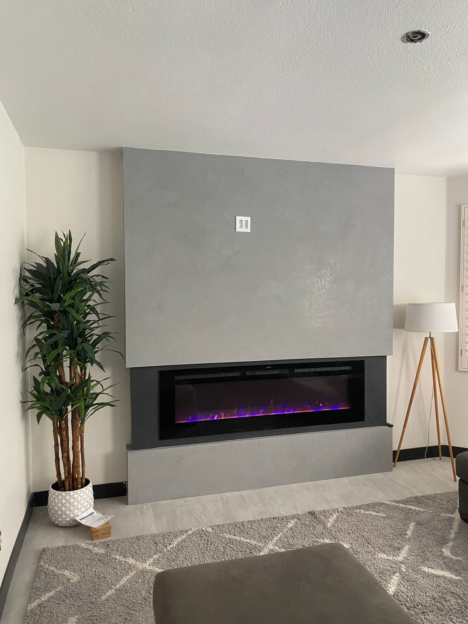 Modern living room with gray accent wall, linear electric fireplace, tall plant, and textured rug