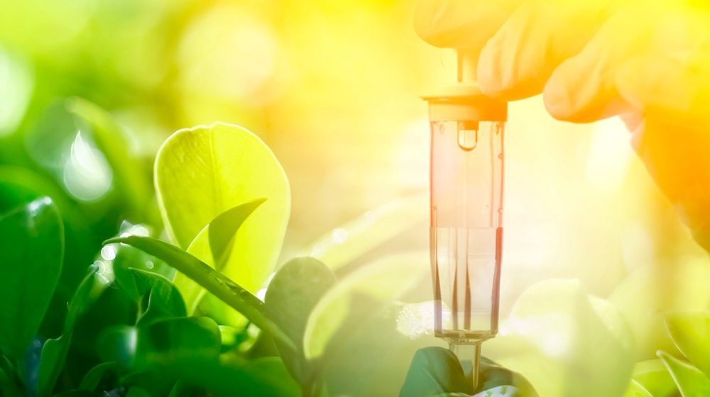 Glass garden solar light among green leaves in warm sunlight
