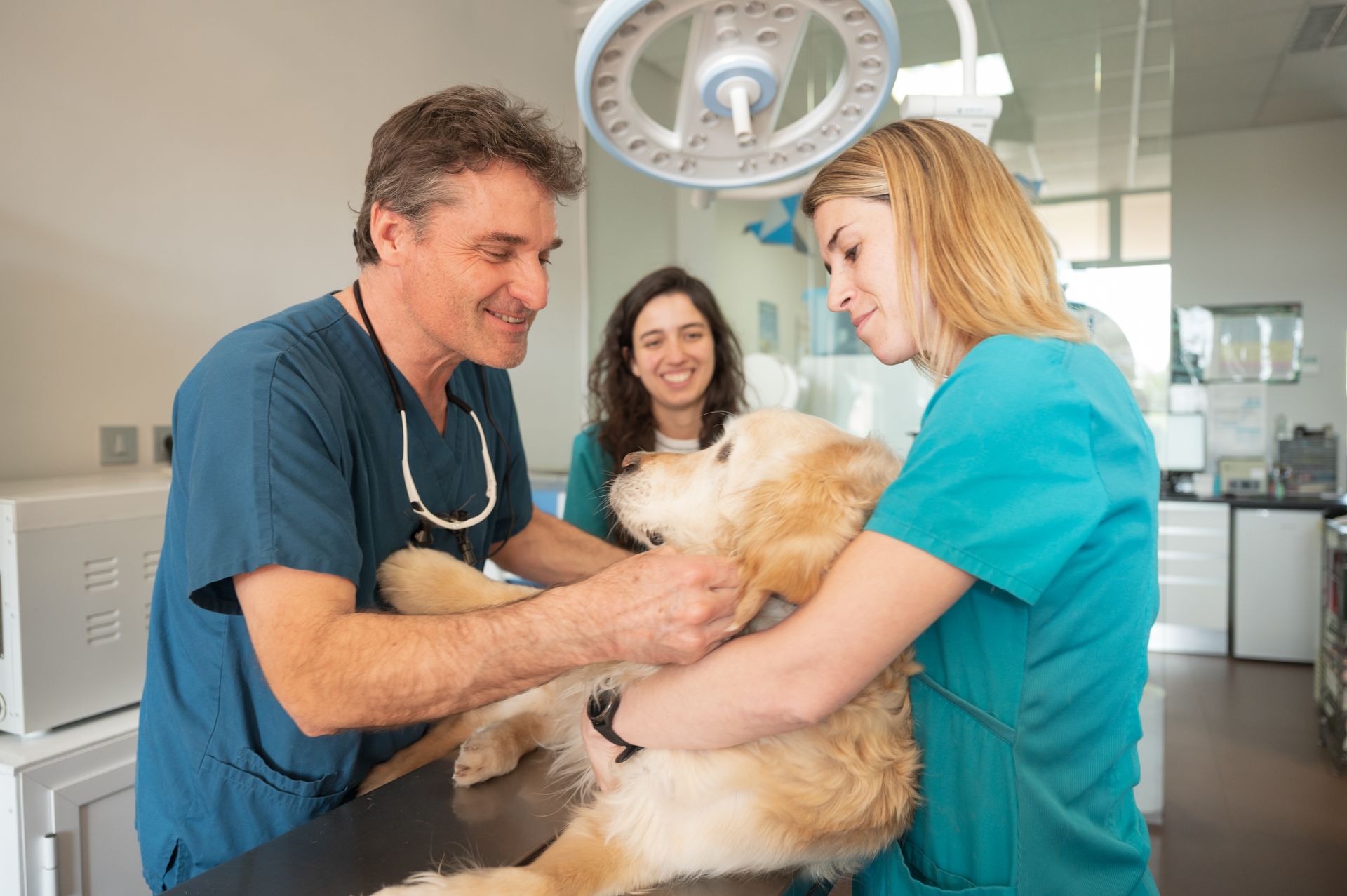 Veterinarian and assistant examining a fluffy dog on an exam table in a clinic