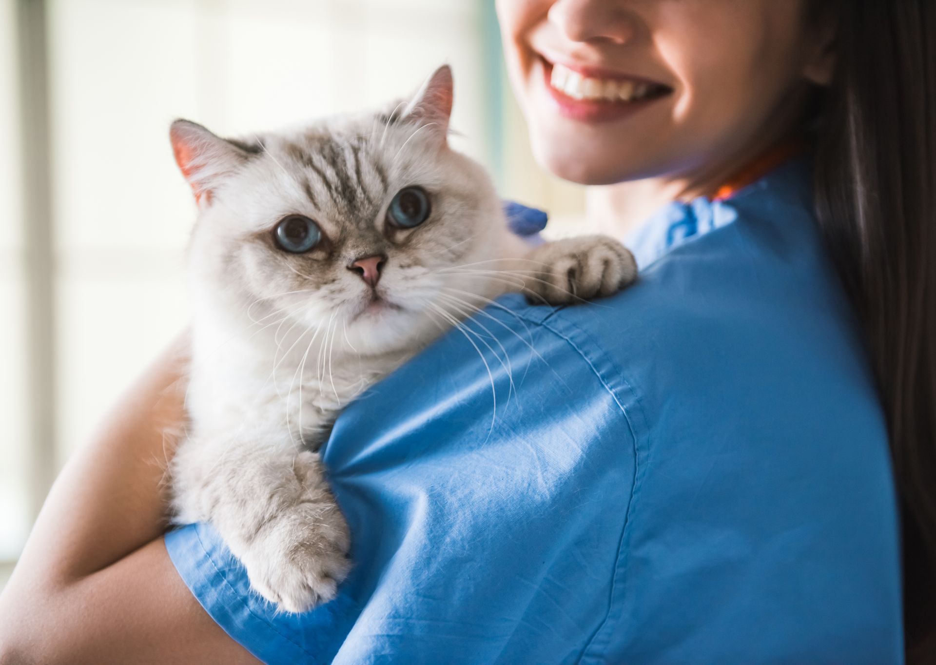 Person holding a fluffy cat while indoors, with the cat looking toward the camera.