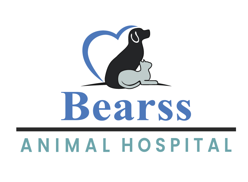 Bearss Animal Hospital Bearss Animal Hospital