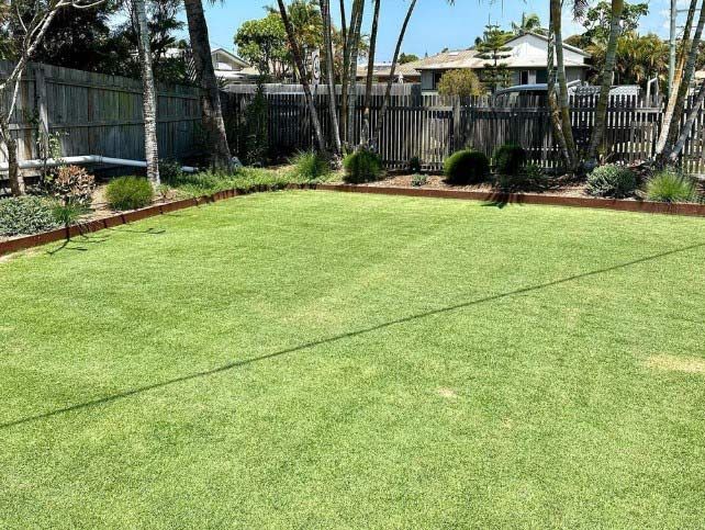 A Lush Green Lawn With A Fence And Trees In The Background — Garden Folk In Alstonville, NSW