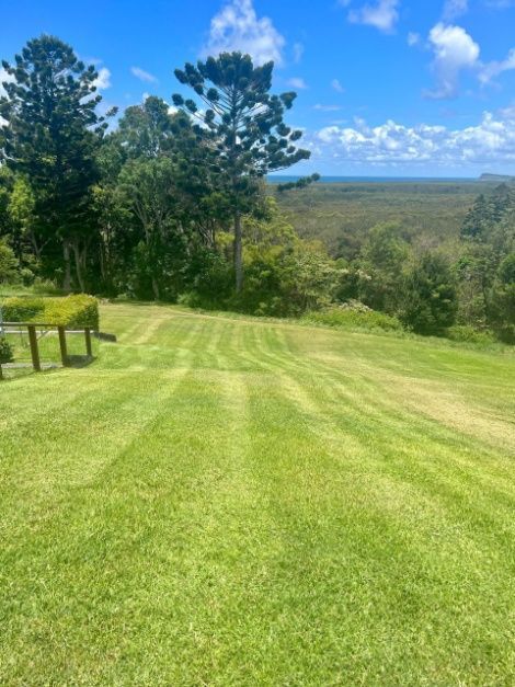 A Lush Green Field With Trees In The Background On A Sunny Day — Garden Folk In Suffolk Park, NSW