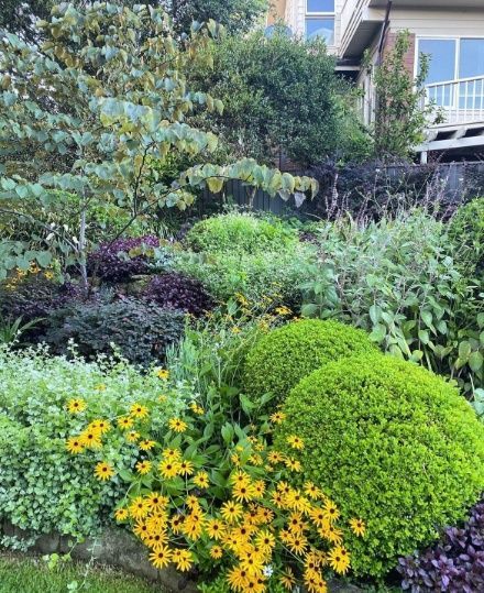 A Garden Filled With Lots Of Plants And Flowers With A House In The Background — Garden Folk In Suffolk Park, NSW