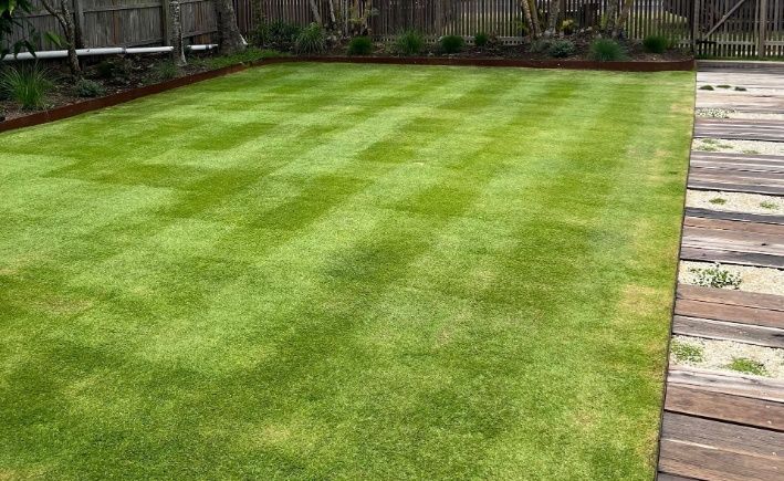 A Lush Green Lawn With A Wooden Walkway In The Background — Garden Folk In Suffolk Park, NSW