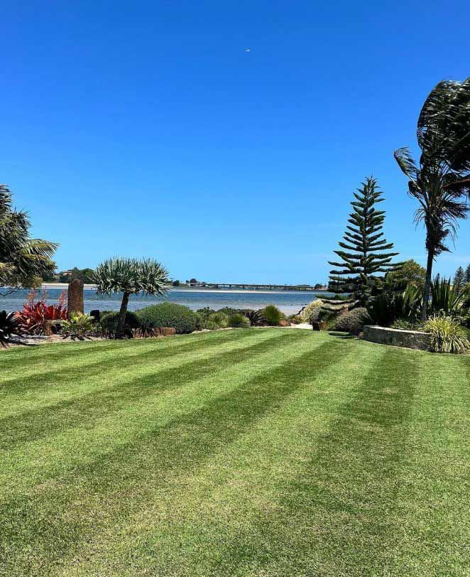 A Lush Green Lawn With Trees And A Body Of Water In The Background — Garden Folk In Alstonville, NSW