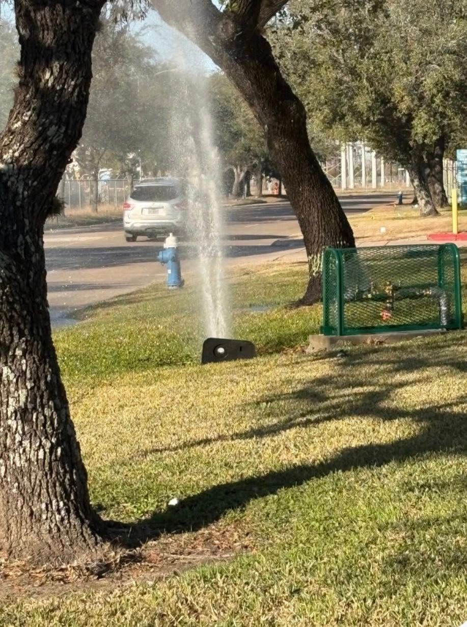 Sprinkler spraying water in a grassy park with trees and a parked car in the background