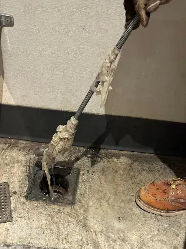 A snake on a pole emerging from a floor drain in a building hallway, near a shoe and wall baseboard