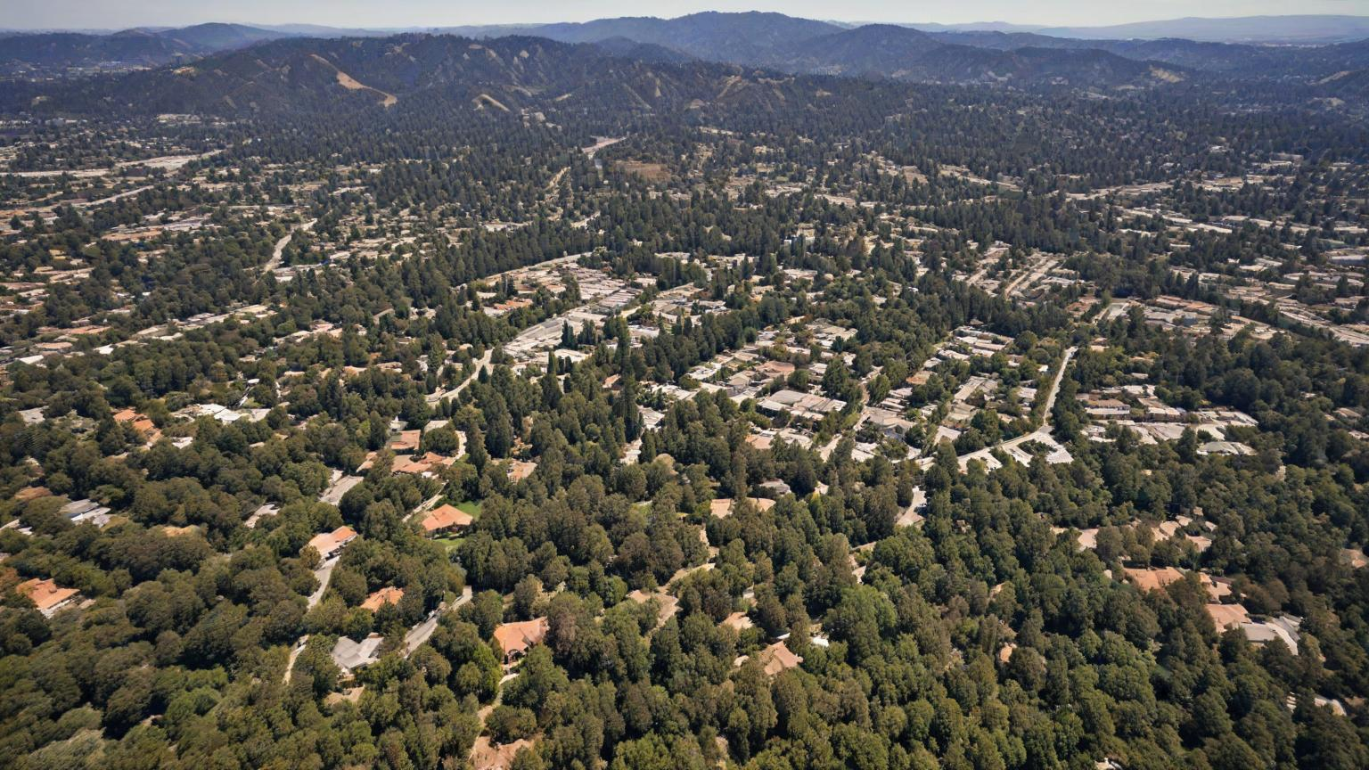 Aerial view of a leafy suburban neighborhood with scattered houses and hills in the distance