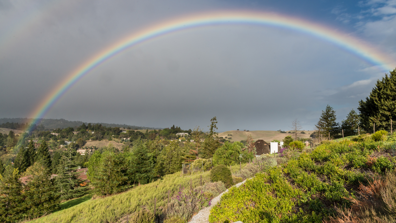 Rainbow over a green hillside neighborhood with trees and a cloudy sky