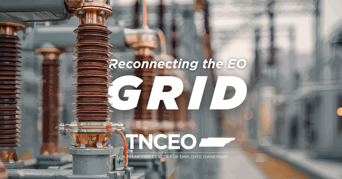 a picture of a power grid, with text and the TNCEO logo
