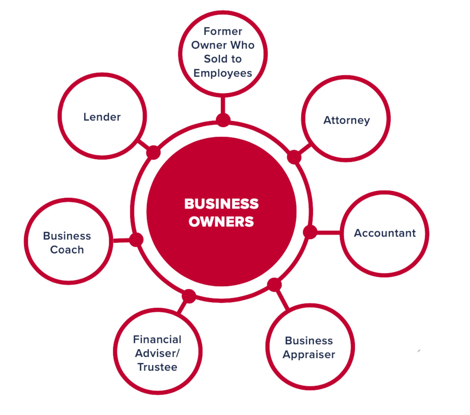 A diagram showing the different types of business owners