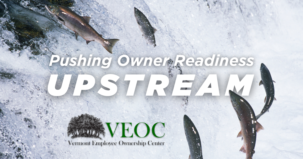 Image of salmon migrating upstream with writing and VEOC logo